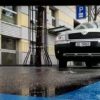 https://www.pampasus.ch/wp-content/uploads/2019/03/c916b3d48c9efabea388a6051423837b_52938423_2257513411234945_4846955990370746368_n