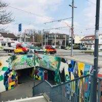 https://www.pampasus.ch/wp-content/uploads/2019/04/455216c288becb848c22bfad18787ce4_56952706_2082662068449110_4421003437718634496_n