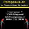 https://www.pampasus.ch/wp-content/uploads/2020/04/092369f93548809a003c90163916ed3a_28055866_1550265135022142_2938332316640748478_n